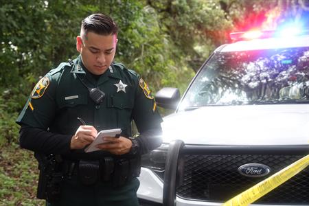 About Placeholder Deputy working