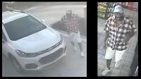 Suspect and vehicle