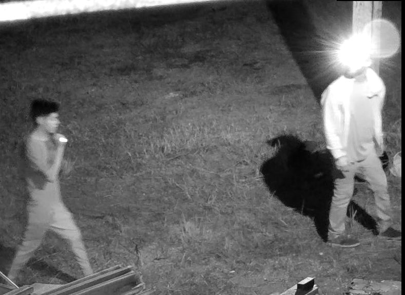 Frostproof suspects game camera theft