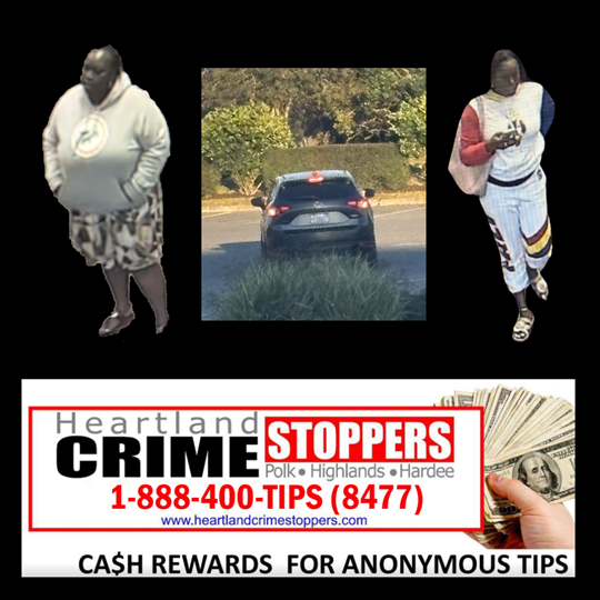 Publix liquor thefts